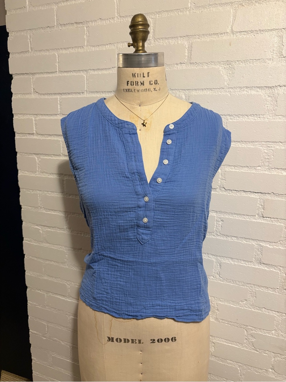 J. Crew Sleeveless Blue Button Henley Top